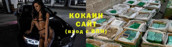 ПСИЛОЦИБИНОВЫЕ ГРИБЫ Абдулино
