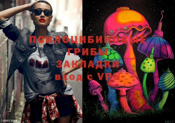 мдпв Абинск