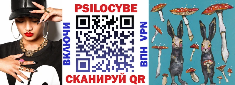 продажа наркотиков Щёкино кракен Псилоцибиновые грибы GOLDEN TEACHER